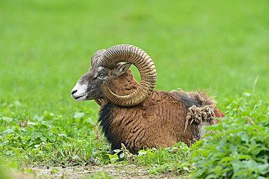 穿越过去遇见落榜美术生？像素风时间旅行冒险游戏《Back In Time》即将多平台上线