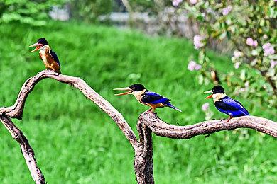 《使命召唤：现代战争3》僵尸模式新预告 细节公布